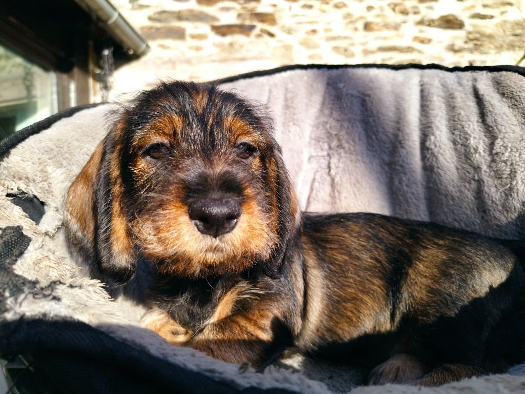 Talya Des Croquignolets