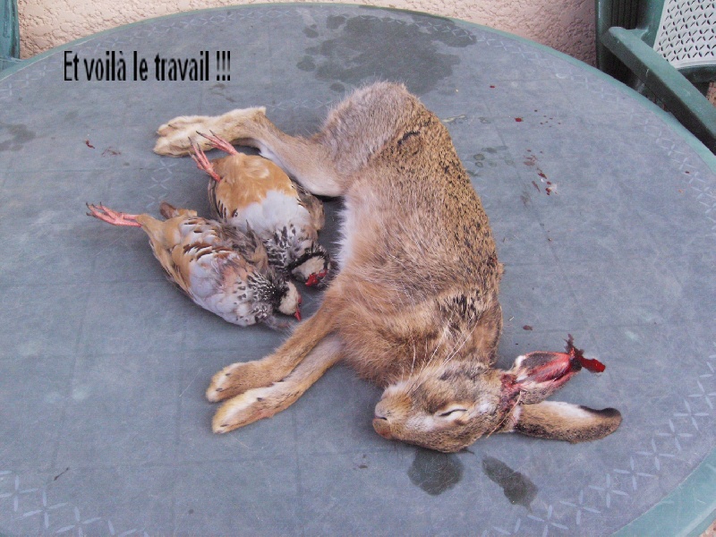 chasse