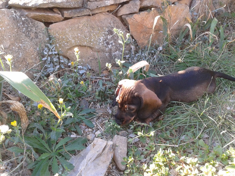 Dans le jardin !!!!