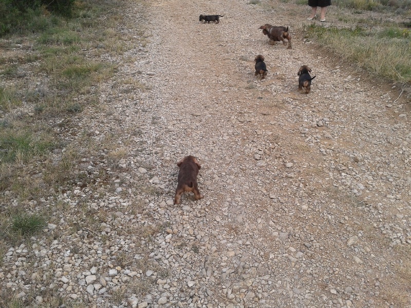 Sur le terrain